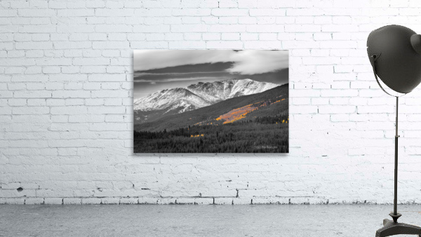 Rocky Mountain Independence Pass Glow by Bo Insogna