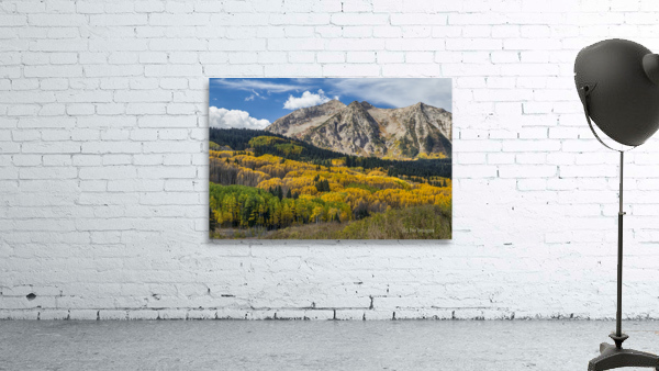 Rocky Mountain Autumn Season Colors by Bo Insogna