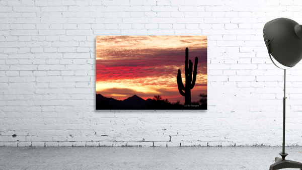 Tequila Sunrise Landscape by Bo Insogna