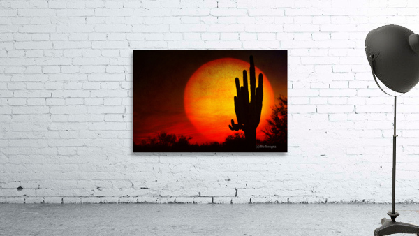 Big Southwest Sunset by Bo Insogna