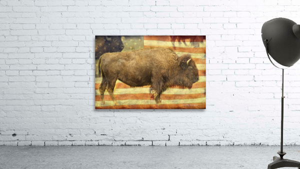 American Buffalo by Bo Insogna