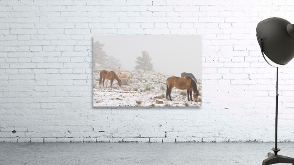 Horses Winter Snow Fog by Bo Insogna