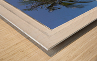 Palm Tree Tropical Window View Impression sur bois