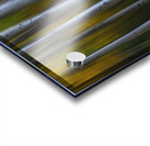 Forest Wilderness Wonderland Abstract  Photo Art Acrylic print