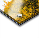 Inviting Autumn Hiking Trail Impression Acrylique