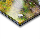 St Vrain Tranquility Impression Acrylique