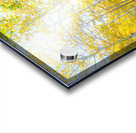 Golden Glimmer A Dance of Aspens in the Sun Impression Acrylique