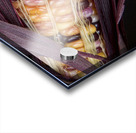 Colorful Indian Corn Impression Acrylique