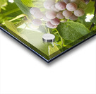 Red Grapes on The Vine Impression Acrylique