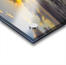 Ocean Sunset  Golden Skies and Turquoise Waves in Perfect Harmony Acrylic print