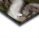 Boulder Canyon Paradise Impression Acrylique