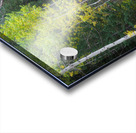 Tranquility on the Stream  Acrylic print