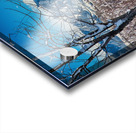 Boulder Colorado Winter Season Scenic View Acrylic print