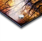 Sunset Tree Silhouette Abstract 1 Acrylic print