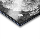 Autumn Grazing Horses Bonanza Impression Acrylique