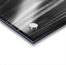 Autumn Aspen Trees Dreaming BW Acrylic print