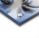 Coco Mo Tropical Sunrise Acrylic print