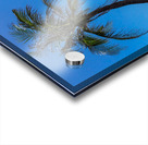 White Sand Beaches and Tropical Blue Skies Acrylic print