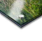  A Bare Tree Amidst Lush Hills Solitary Sentinel Acrylic print