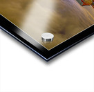 Gods Country  Impression Acrylique