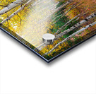 Happy Place In The Woods Acrylic print