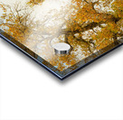 Glory Glory Acrylic print