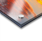  Fiery Arizona Sunset Behind a Silent Saguaro Acrylic print