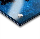 Pinnacle Of The Forest  Acrylic print