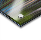 Colorful Forest Lines  Acrylic print