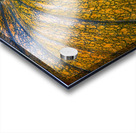 Pumpkin Close Up Fine Art Photography Wall Art Print Impression Acrylique