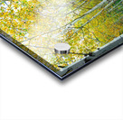 Radiant Autumn Forest Landscape in Gold and Red Acrylic print