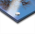 Celestial Sentinel A Supermoons Nocturnal Embrace Acrylic print