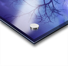 Purple Rain Over Boulder County Colorado Acrylic print