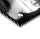 Whispers of Trees and Meadows at Sunrise in Black and White Impression Acrylique