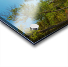 Jenny Lake Rocky Shoreline Grand Teton National Park Fine Art Print Impression Acrylique