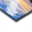 Colorful Sonoran Desert Sunrise in Beautiful Arizona Acrylic print