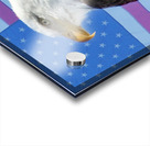 American Eagle 2 Acrylic print