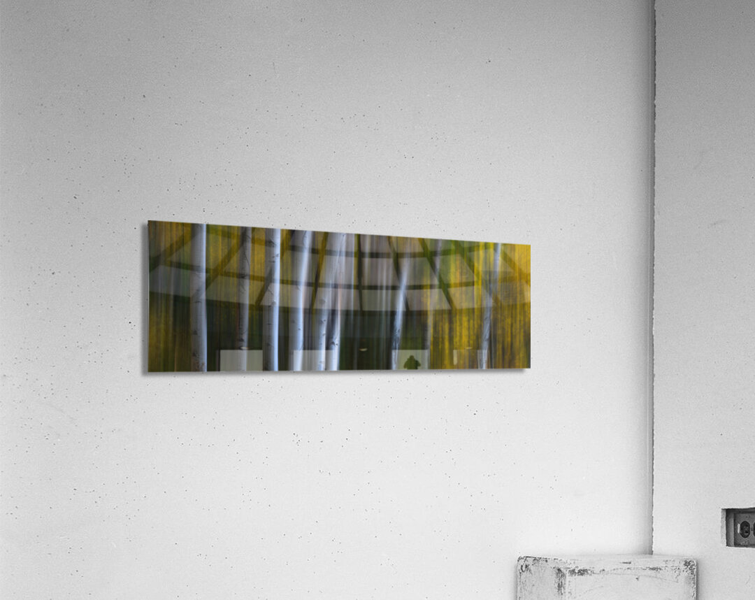 Forest Wilderness Wonderland Abstract  Photo Art Acrylic Print