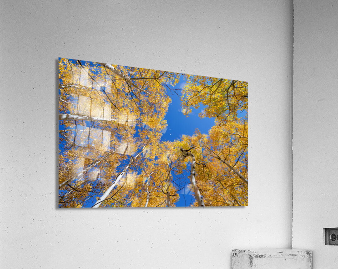 Aspen Curve Impression acrylique