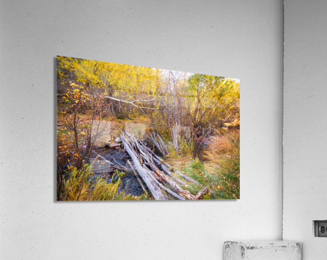 Rustic Log Bridge in Golden Autumn Forest – Serene Fall Creek  Acrylic Print