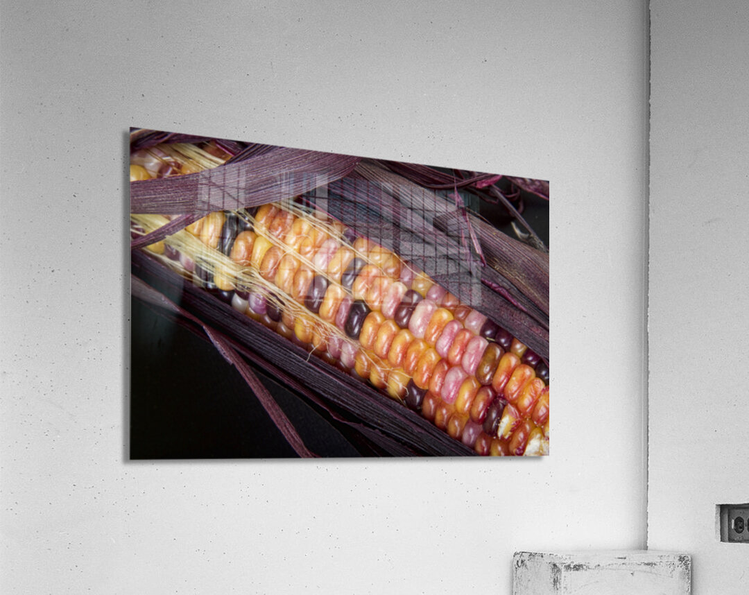 Colorful Indian Corn Impression acrylique