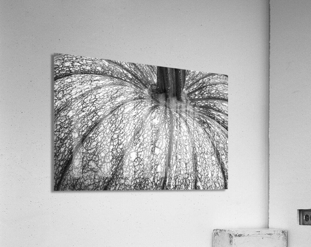 Pumpkin Pumpkin Black and White Acrylic Print