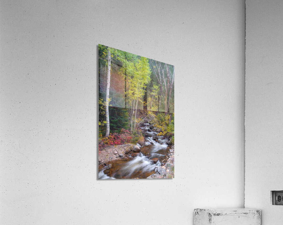 Tranquility on the Stream  Acrylic Print