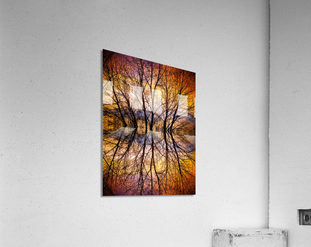 Sunset Tree Silhouette Abstract 1 Acrylic Print