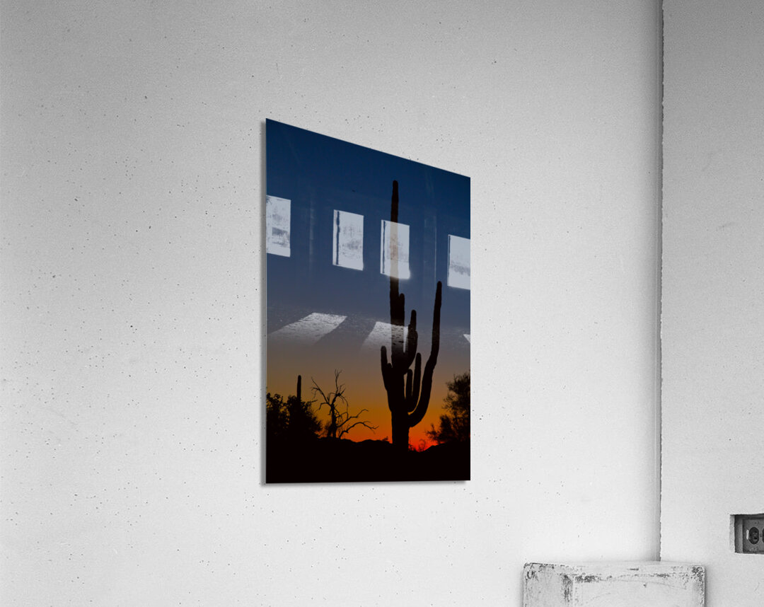 Sonoran Desert Sunrise Acrylic Print