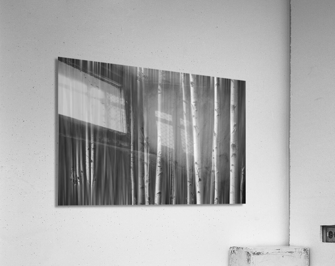 Somewhere Along the Road Dreaming Black and White Acrylic Print