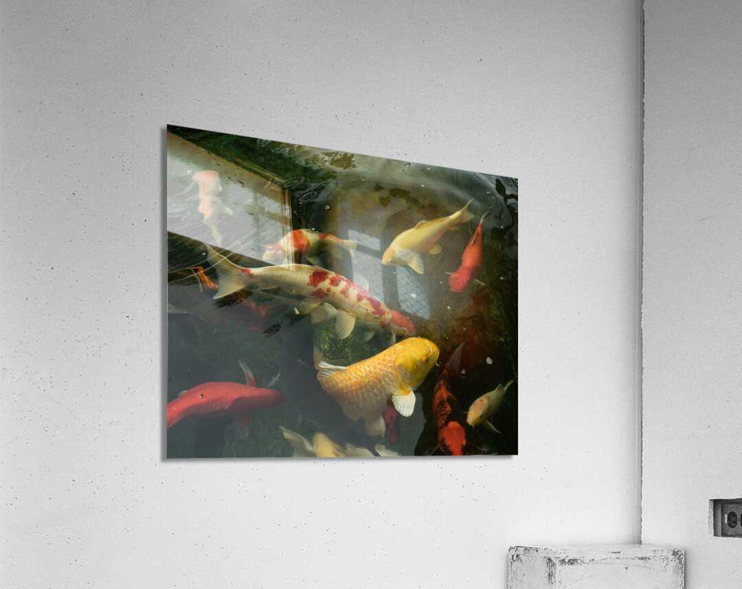 Koi Dance Twilight Acrylic Print