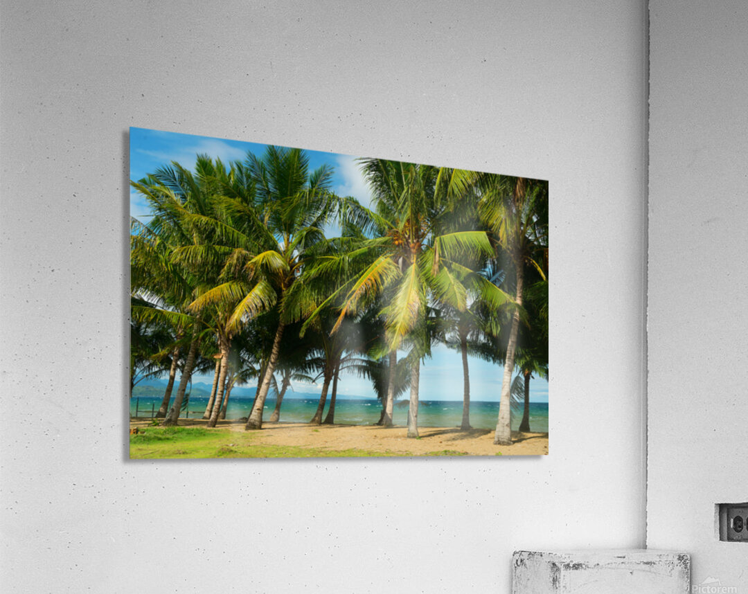 Stunning Palm Trees Swaying on the Shores of Negros Oriental Acrylic Print
