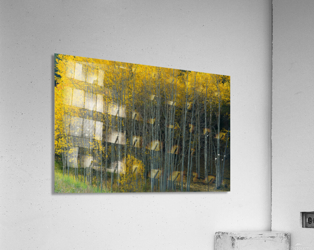 That  Morning Autumn Light Impression acrylique