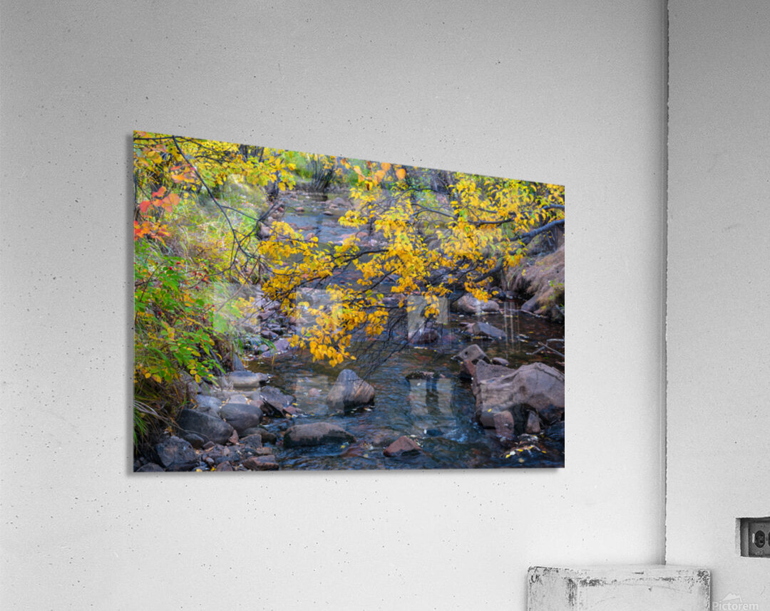 Golden Stream Acrylic Print